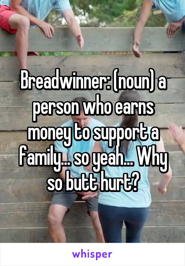Breadwinner: (noun) a person who earns money to support a family... so yeah... Why so butt hurt?