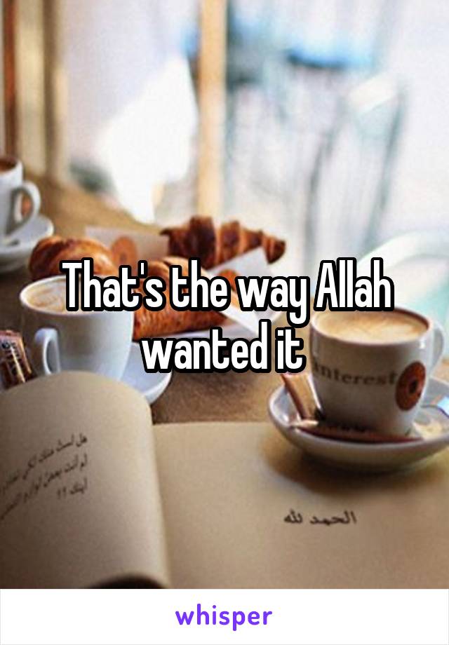 That's the way Allah wanted it 