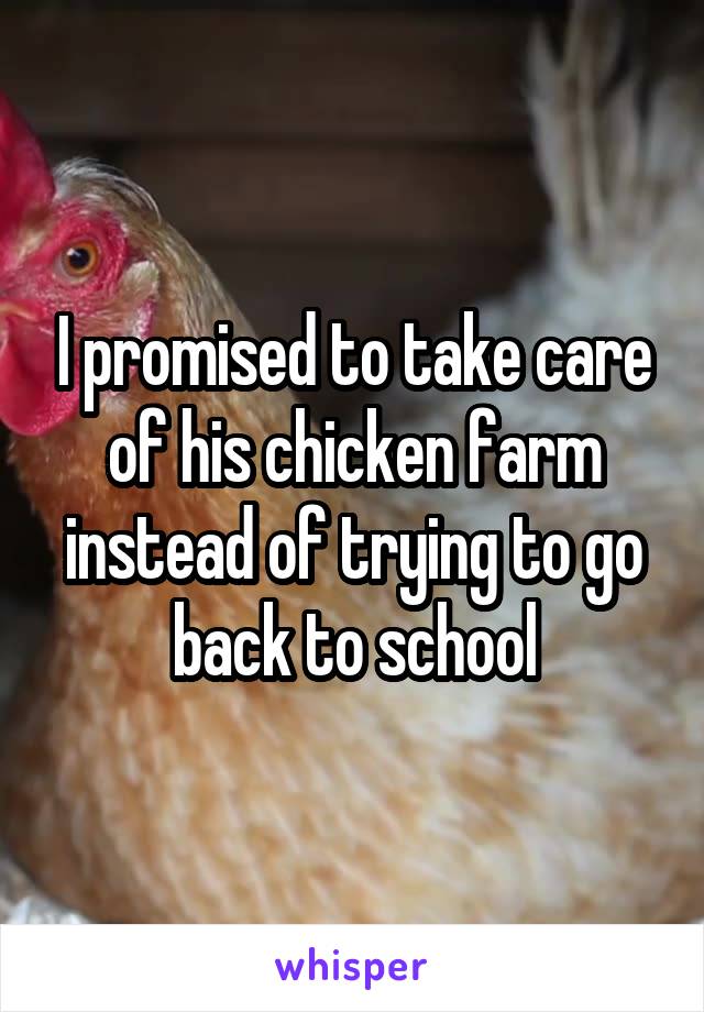 I promised to take care of his chicken farm instead of trying to go back to school
