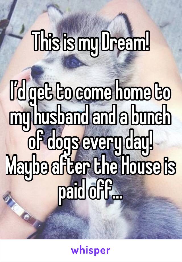 This is my Dream! 

I’d get to come home to my husband and a bunch of dogs every day! Maybe after the House is paid off...
