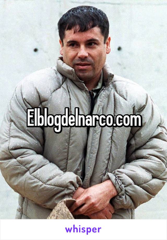 Elblogdelnarco.com