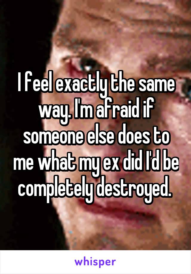 I feel exactly the same way. I'm afraid if someone else does to me what my ex did I'd be completely destroyed. 