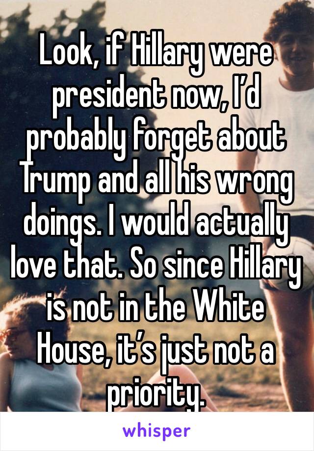 Look, if Hillary were president now, I’d probably forget about Trump and all his wrong doings. I would actually love that. So since Hillary  is not in the White House, it’s just not a priority.