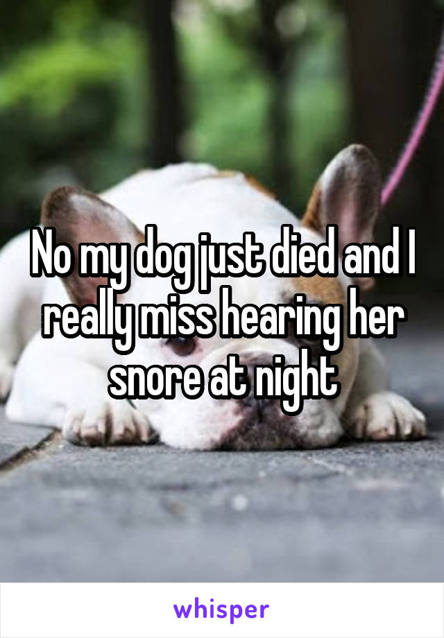 No my dog just died and I really miss hearing her snore at night