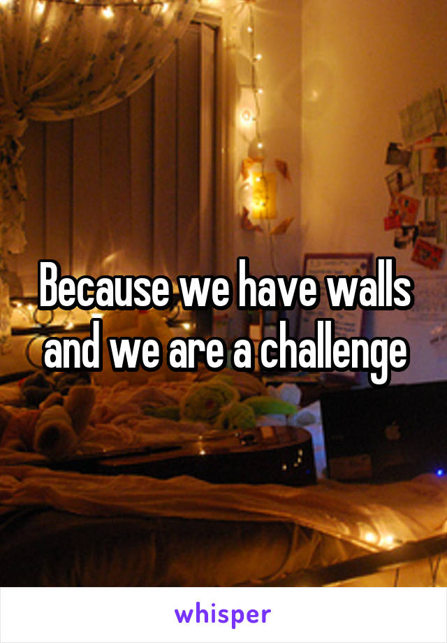 Because we have walls and we are a challenge