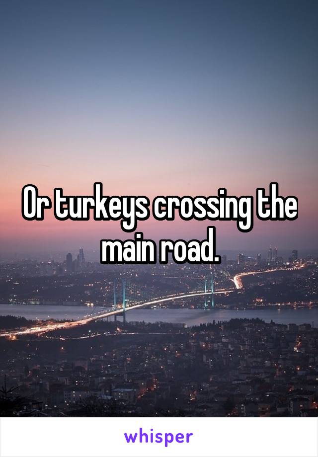 Or turkeys crossing the main road.