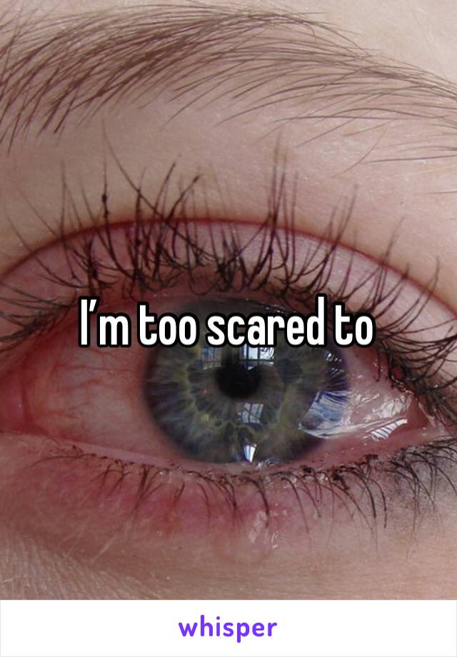 I’m too scared to 