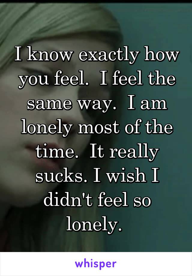 I know exactly how you feel.  I feel the same way.  I am lonely most of the time.  It really sucks. I wish I didn't feel so lonely. 