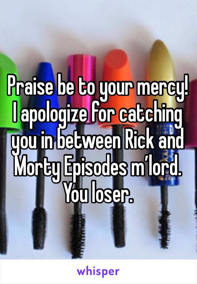 Praise be to your mercy! I apologize for catching you in between Rick and Morty Episodes m’lord. You loser. 