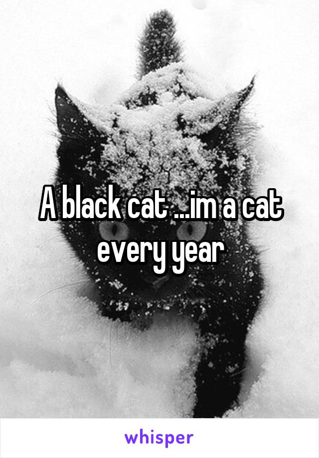A black cat ...im a cat every year