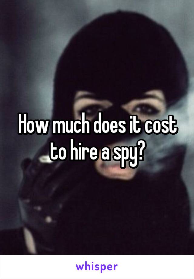 How much does it cost to hire a spy?