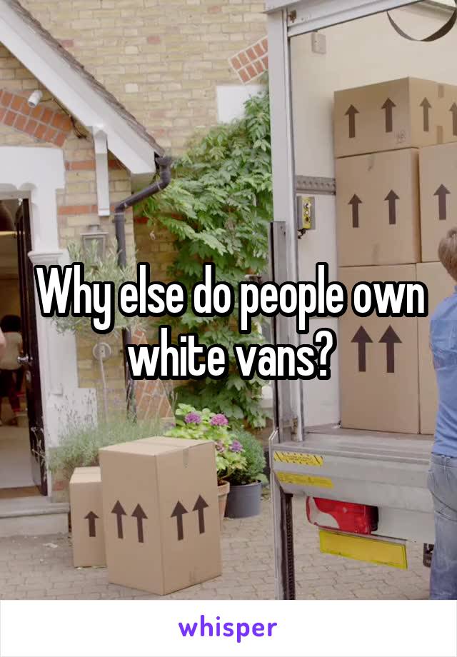 Why else do people own white vans?