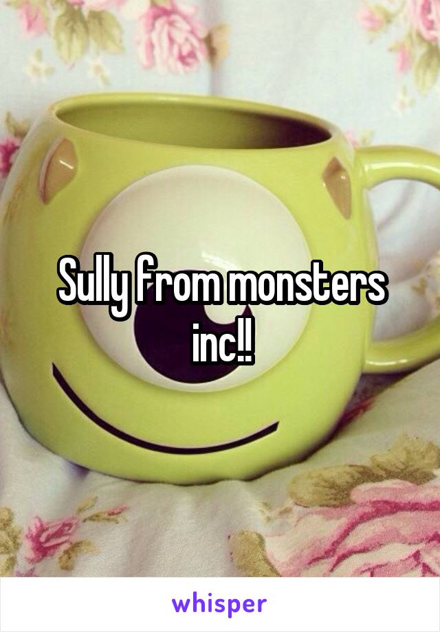 Sully from monsters inc!!
