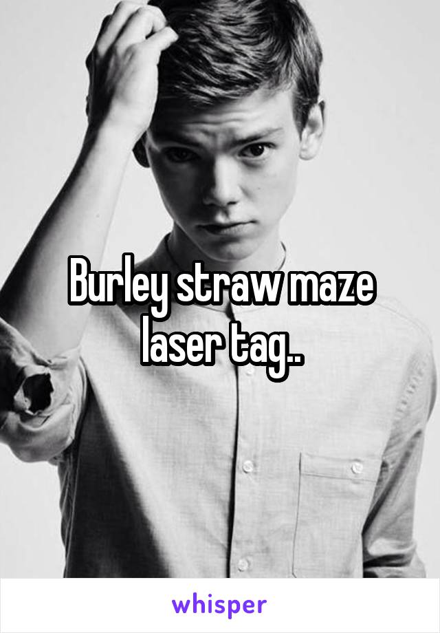 Burley straw maze laser tag..