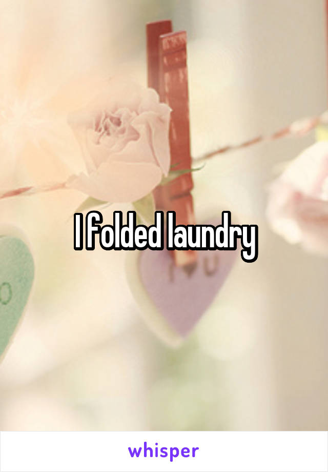 I folded laundry