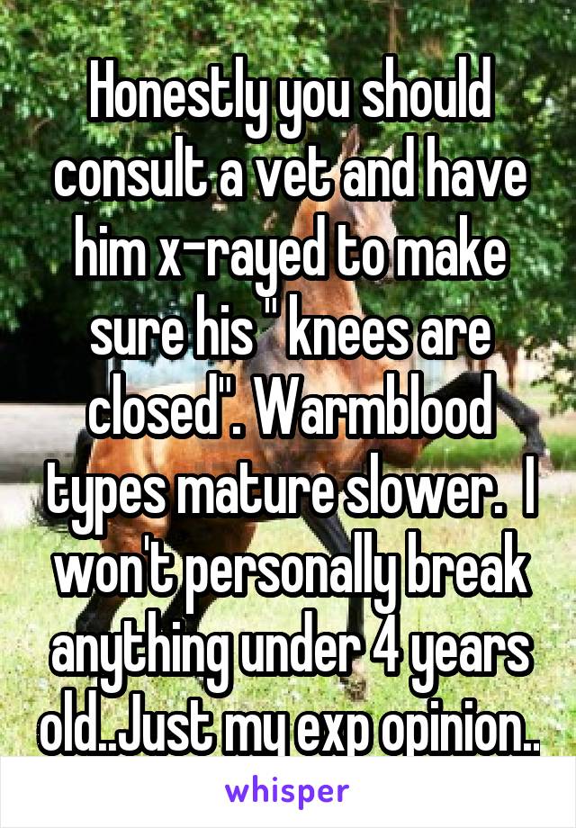 Honestly you should consult a vet and have him x-rayed to make sure his " knees are closed". Warmblood types mature slower.  I won't personally break anything under 4 years old..Just my exp opinion..