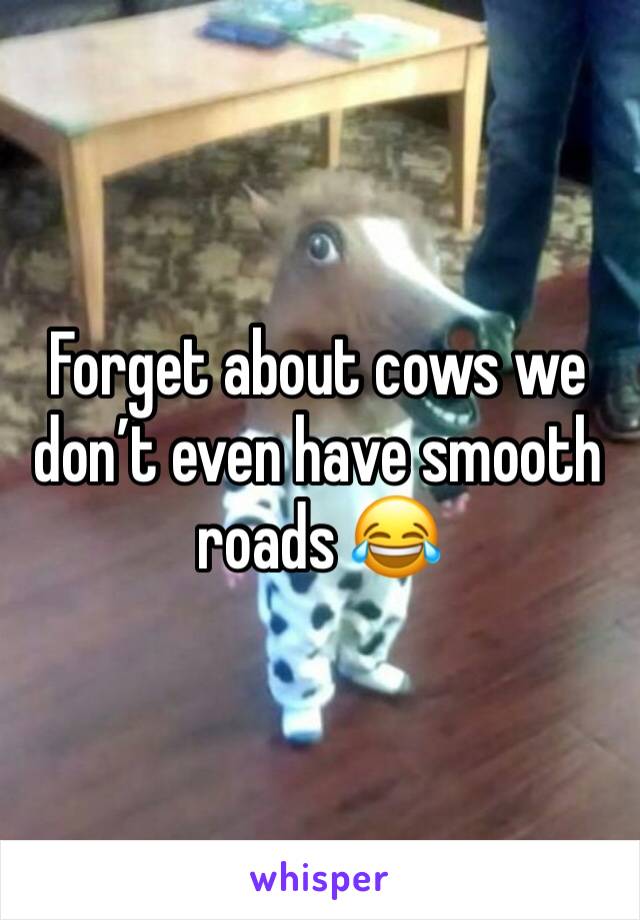 Forget about cows we don’t even have smooth roads 😂 