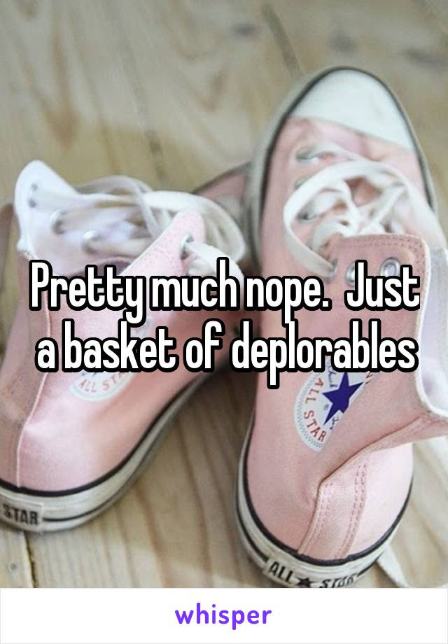 Pretty much nope.  Just a basket of deplorables