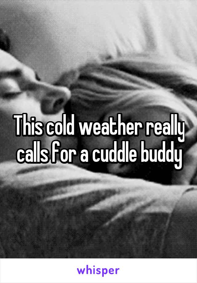This cold weather really calls for a cuddle buddy