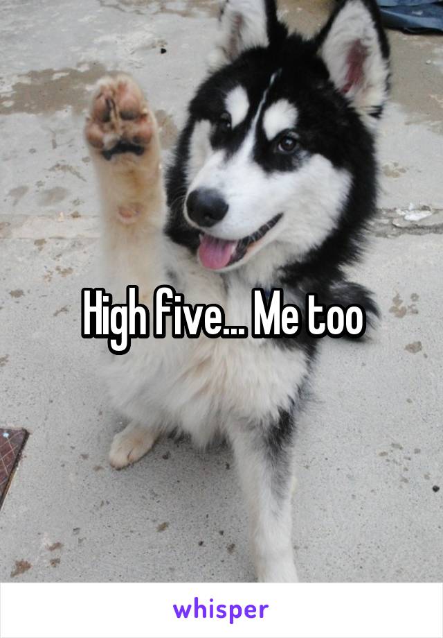 High five... Me too