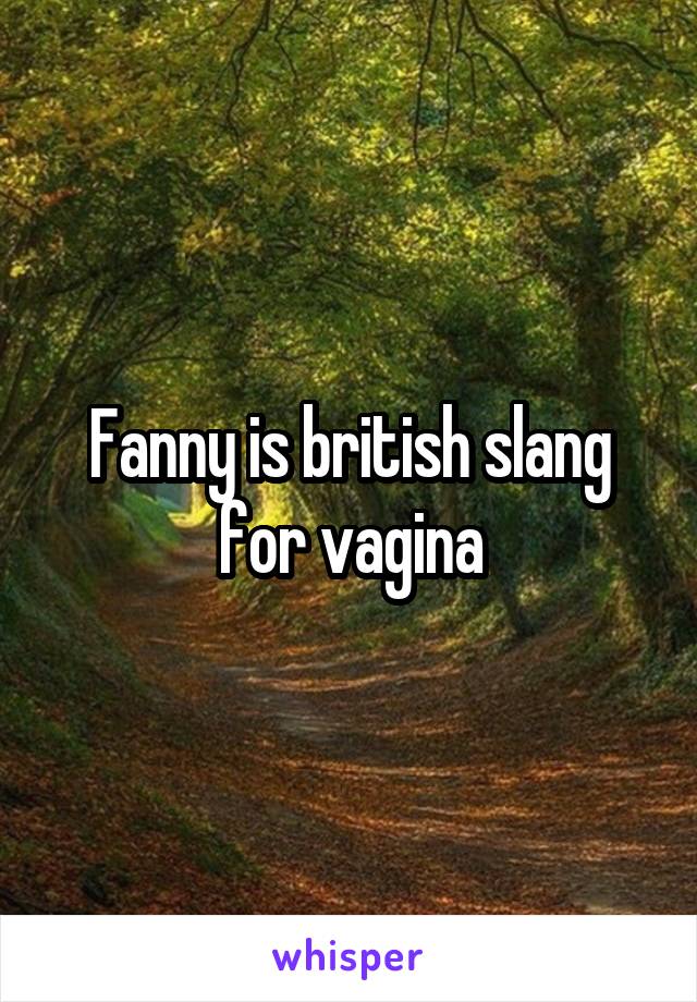 Fanny is british slang for vagina
