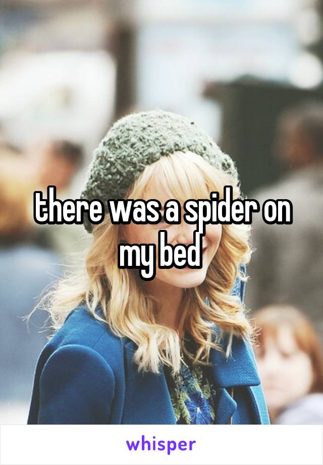 there was a spider on my bed 