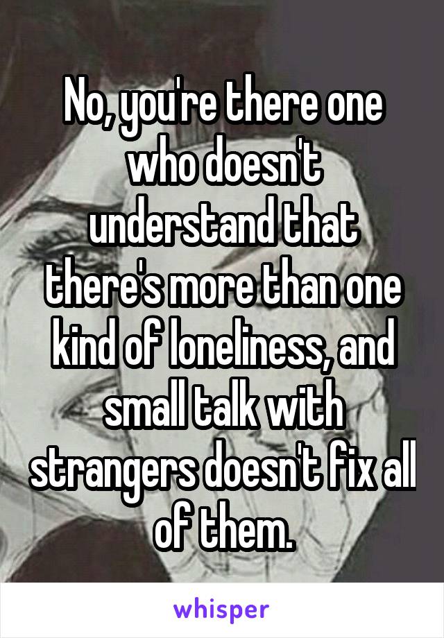 No, you're there one who doesn't understand that there's more than one kind of loneliness, and small talk with strangers doesn't fix all of them.