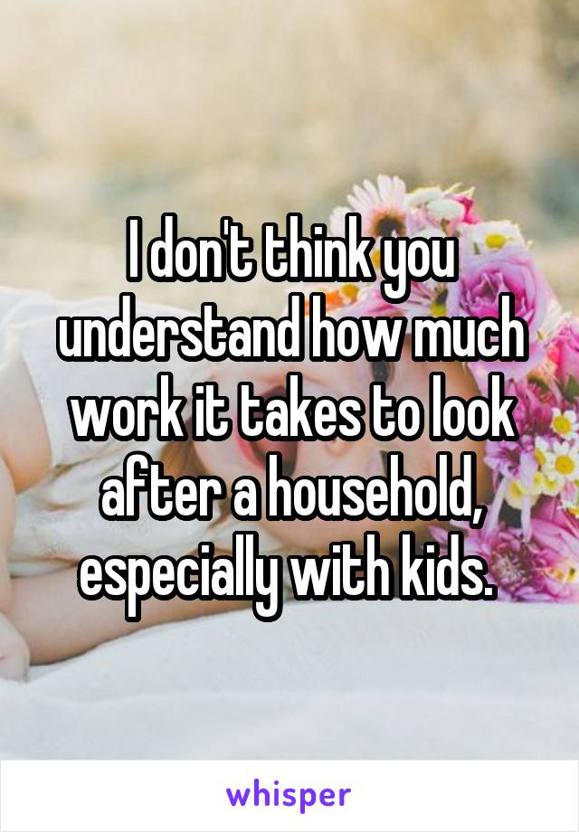 I don't think you understand how much work it takes to look after a household, especially with kids. 