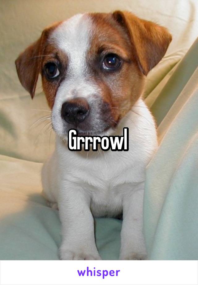 Grrrowl 