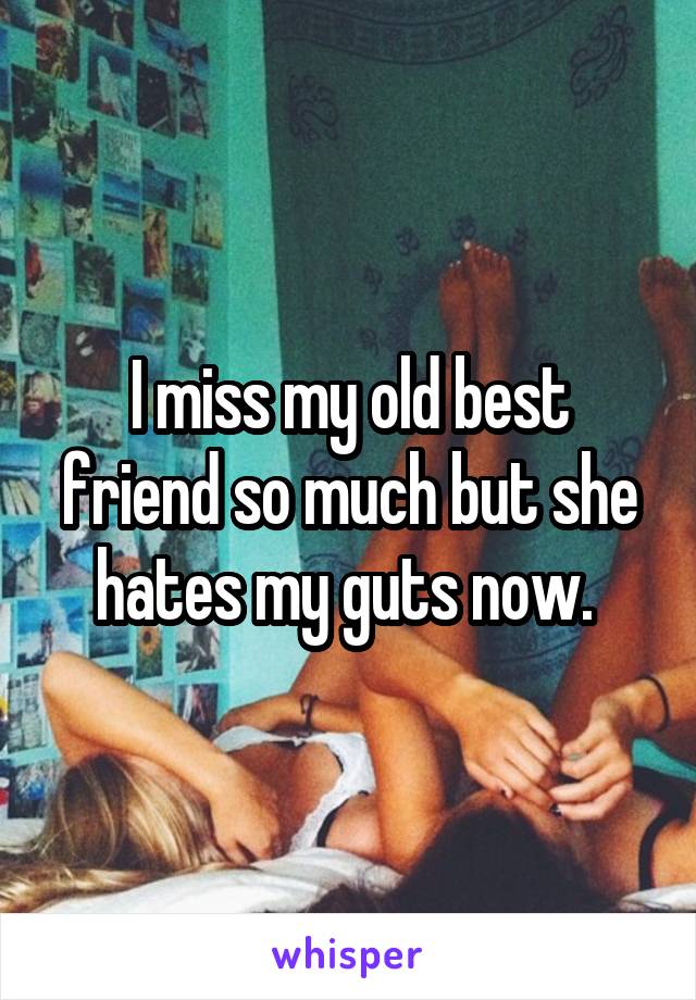 I miss my old best friend so much but she hates my guts now. 
