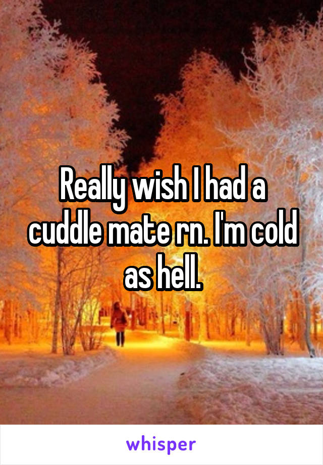 Really wish I had a cuddle mate rn. I'm cold as hell.