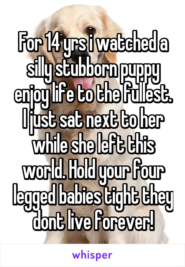 For 14 yrs i watched a silly stubborn puppy enjoy life to the fullest. I just sat next to her while she left this world. Hold your four legged babies tight they dont live forever!