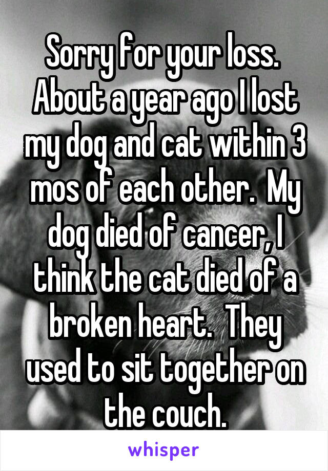 Sorry for your loss.  About a year ago I lost my dog and cat within 3 mos of each other.  My dog died of cancer, I think the cat died of a broken heart.  They used to sit together on the couch.