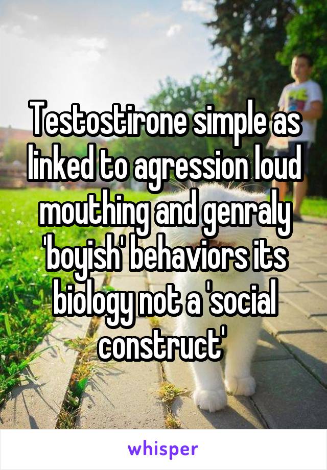 Testostirone simple as linked to agression loud mouthing and genraly 'boyish' behaviors its biology not a 'social construct' 