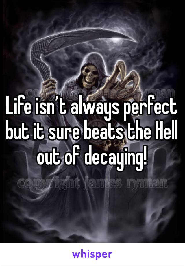 Life isn’t always perfect but it sure beats the Hell out of decaying!