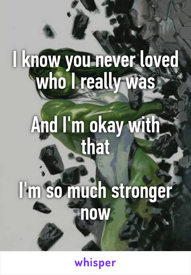 I know you never loved who I really was

And I'm okay with that

I'm so much stronger now