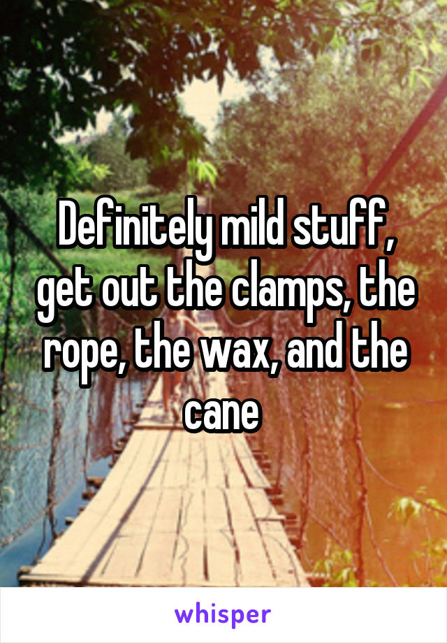 Definitely mild stuff, get out the clamps, the rope, the wax, and the cane 