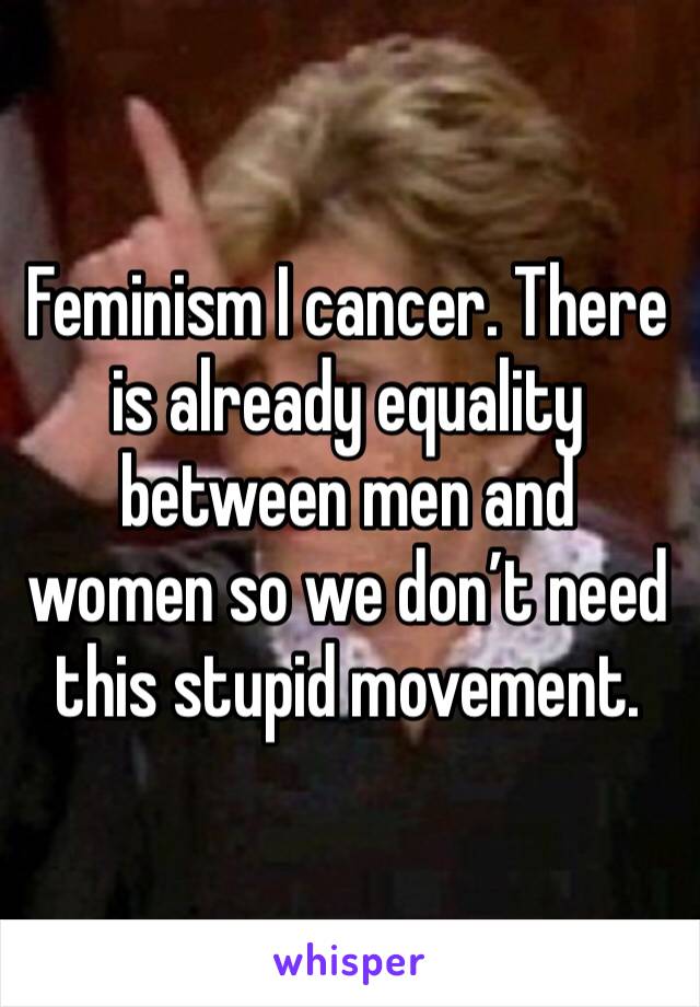 Feminism I cancer. There is already equality between men and women so we don’t need this stupid movement.