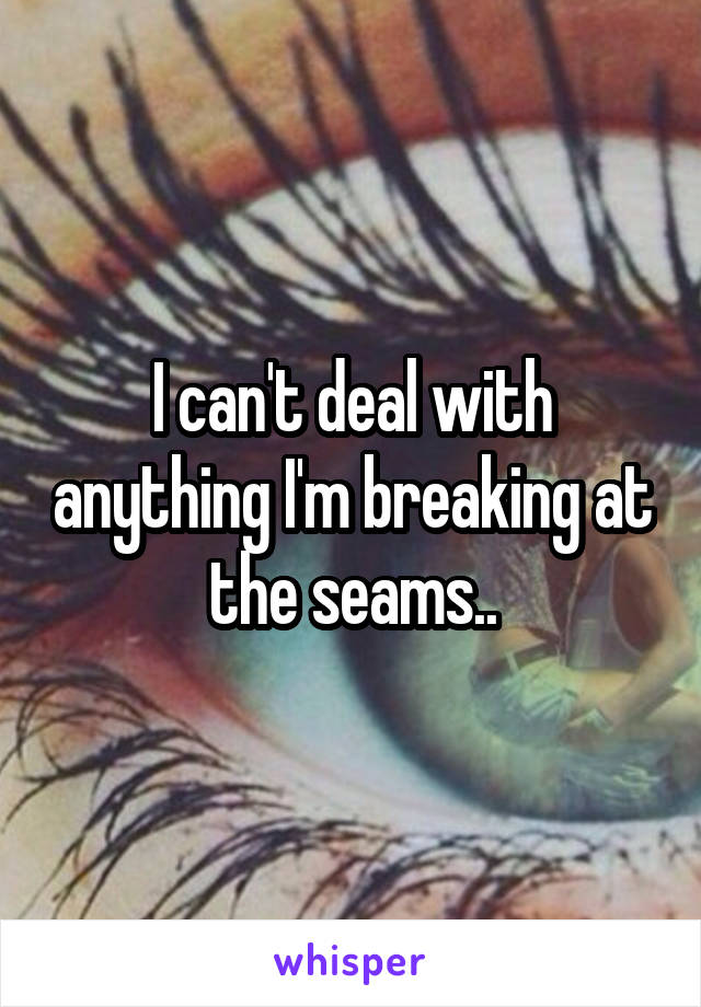 I can't deal with anything I'm breaking at the seams..