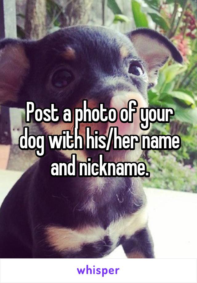 Post a photo of your dog with his/her name and nickname.