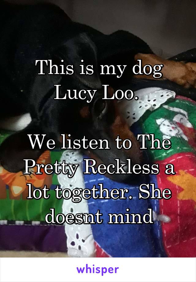 This is my dog Lucy Loo. 

We listen to The Pretty Reckless a lot together. She doesnt mind