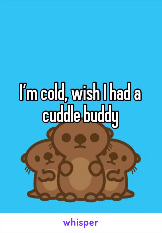 I’m cold, wish I had a cuddle buddy
