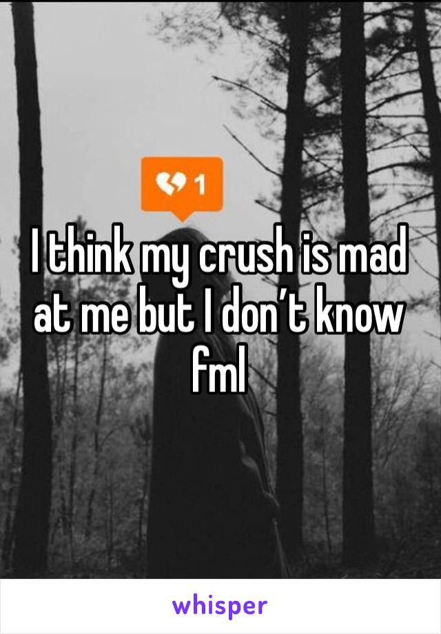 I think my crush is mad at me but I don’t know fml