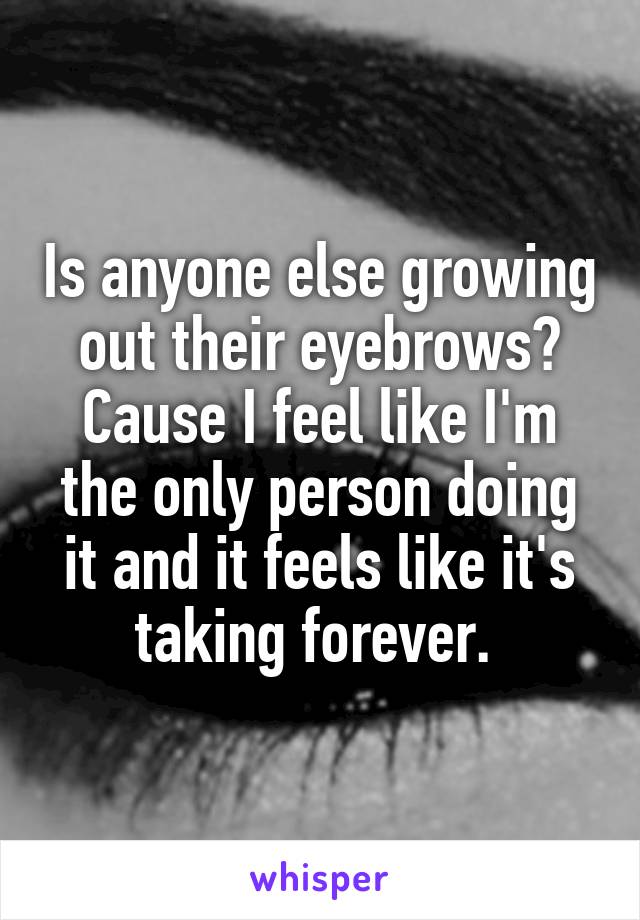 Is anyone else growing out their eyebrows? Cause I feel like I'm the only person doing it and it feels like it's taking forever. 