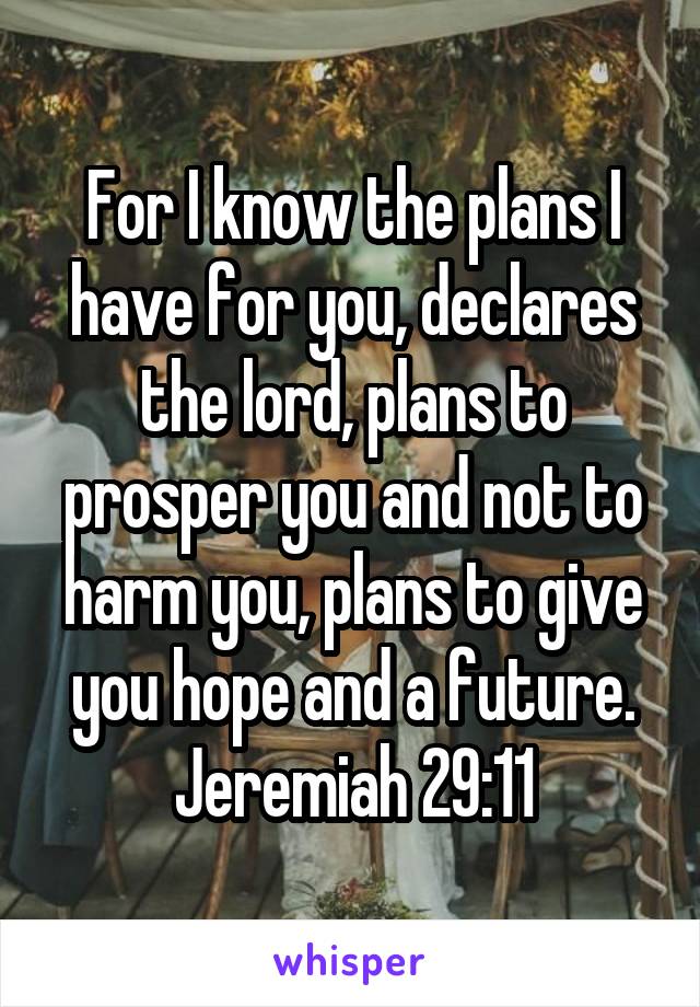 For I know the plans I have for you, declares the lord, plans to prosper you and not to harm you, plans to give you hope and a future.
Jeremiah 29:11
