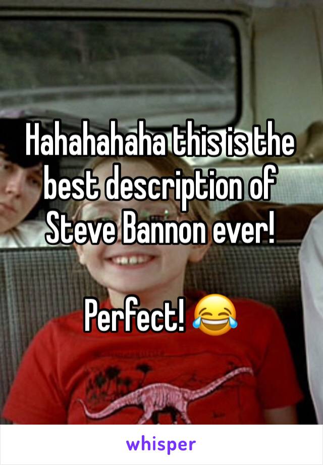 Hahahahaha this is the best description of Steve Bannon ever!

Perfect! 😂