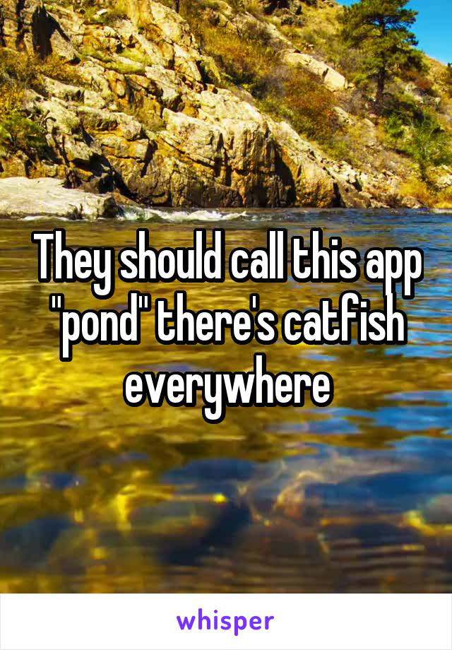 They should call this app "pond" there's catfish everywhere