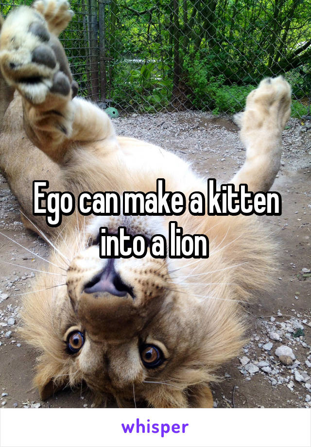 Ego can make a kitten into a lion 