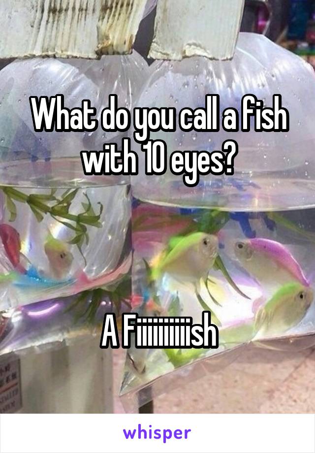What do you call a fish with 10 eyes?



A Fiiiiiiiiiish