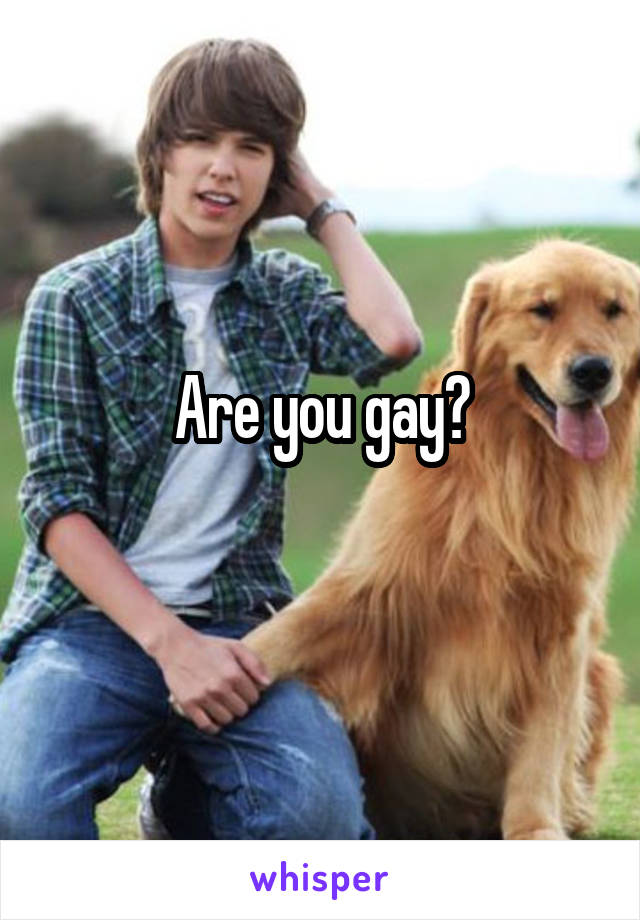 Are you gay?
